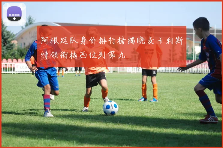 阿根廷队身价排行榜揭晓麦卡利斯特领衔梅西位列第九
