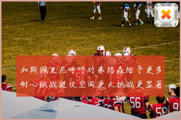 加斯佩里尼呼吁对弗格森给予更多耐心欧战进攻空间更大挑战更显著